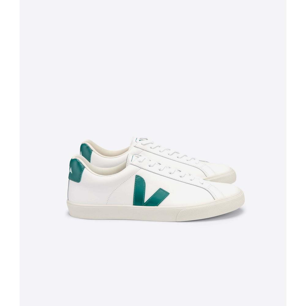 Αθλητικά Παπούτσια ανδρικα Veja ESPLAR LEATHER White/Green | GR 305ZUT